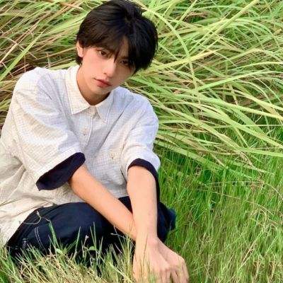 王的崛起4399版下载